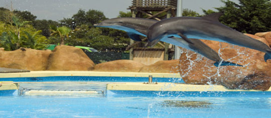 Parc Marineland