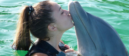 les baleines