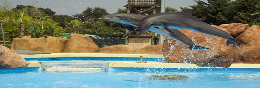 Parc Marineland