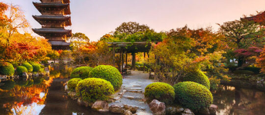 Japon